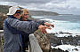 Seal bay