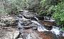 Full Day Springbrook National Park tour