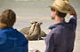 Seal Bay